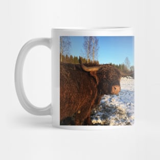Scottish Highland Cattle Bull 2260 Mug